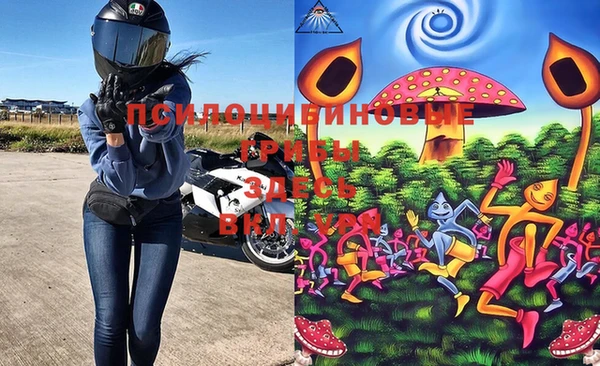 твердый Абинск
